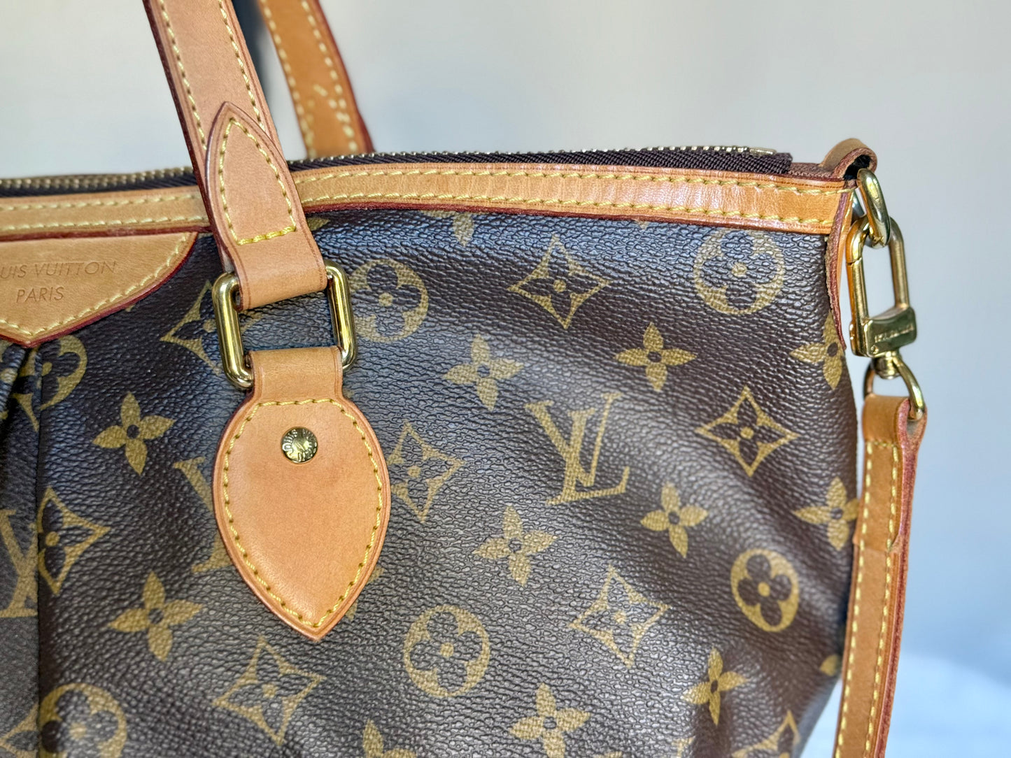 Louis Vuitton Palermo PM Mono