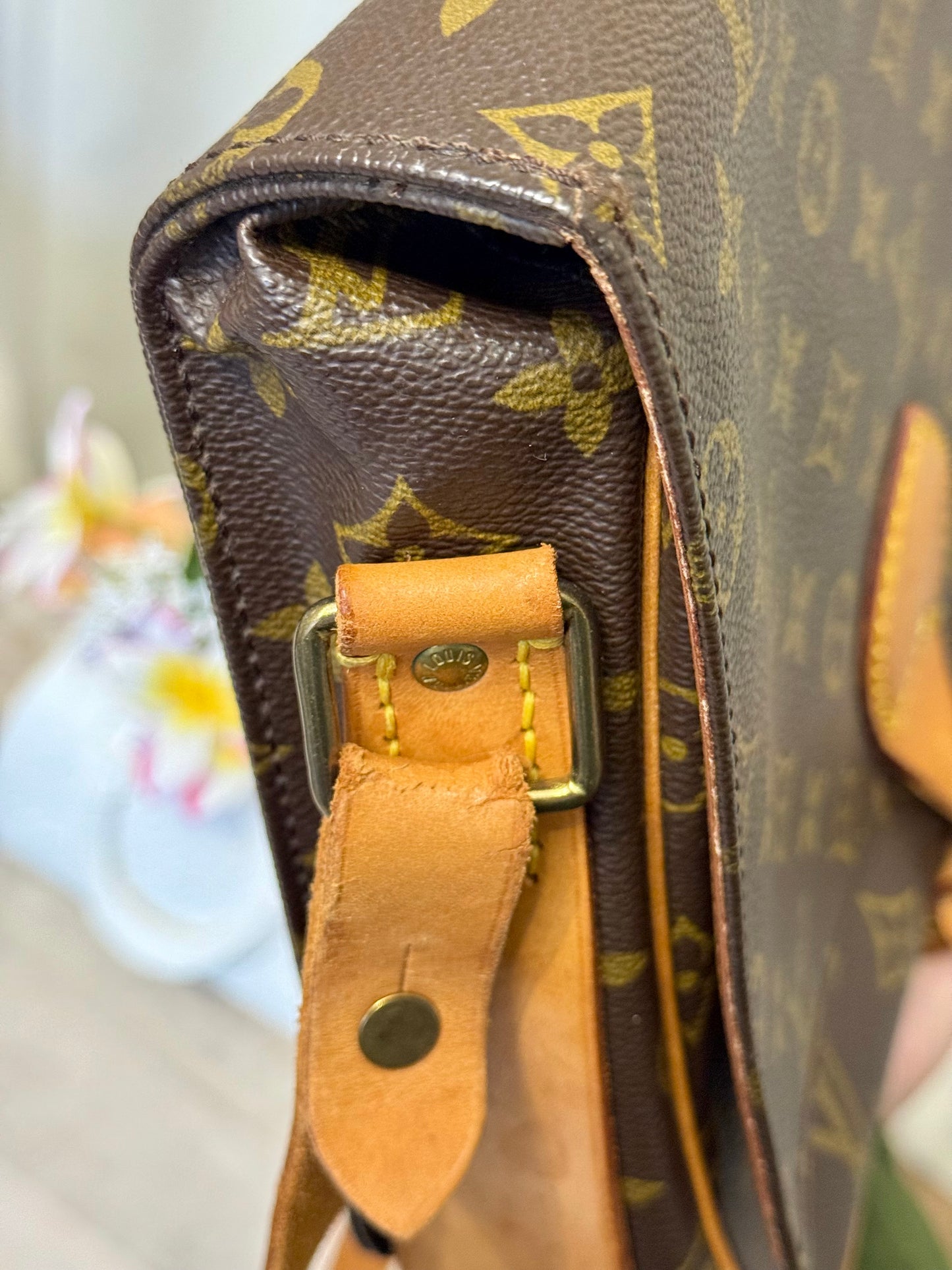 Louis Vuitton Cartouchiere GM Mono
