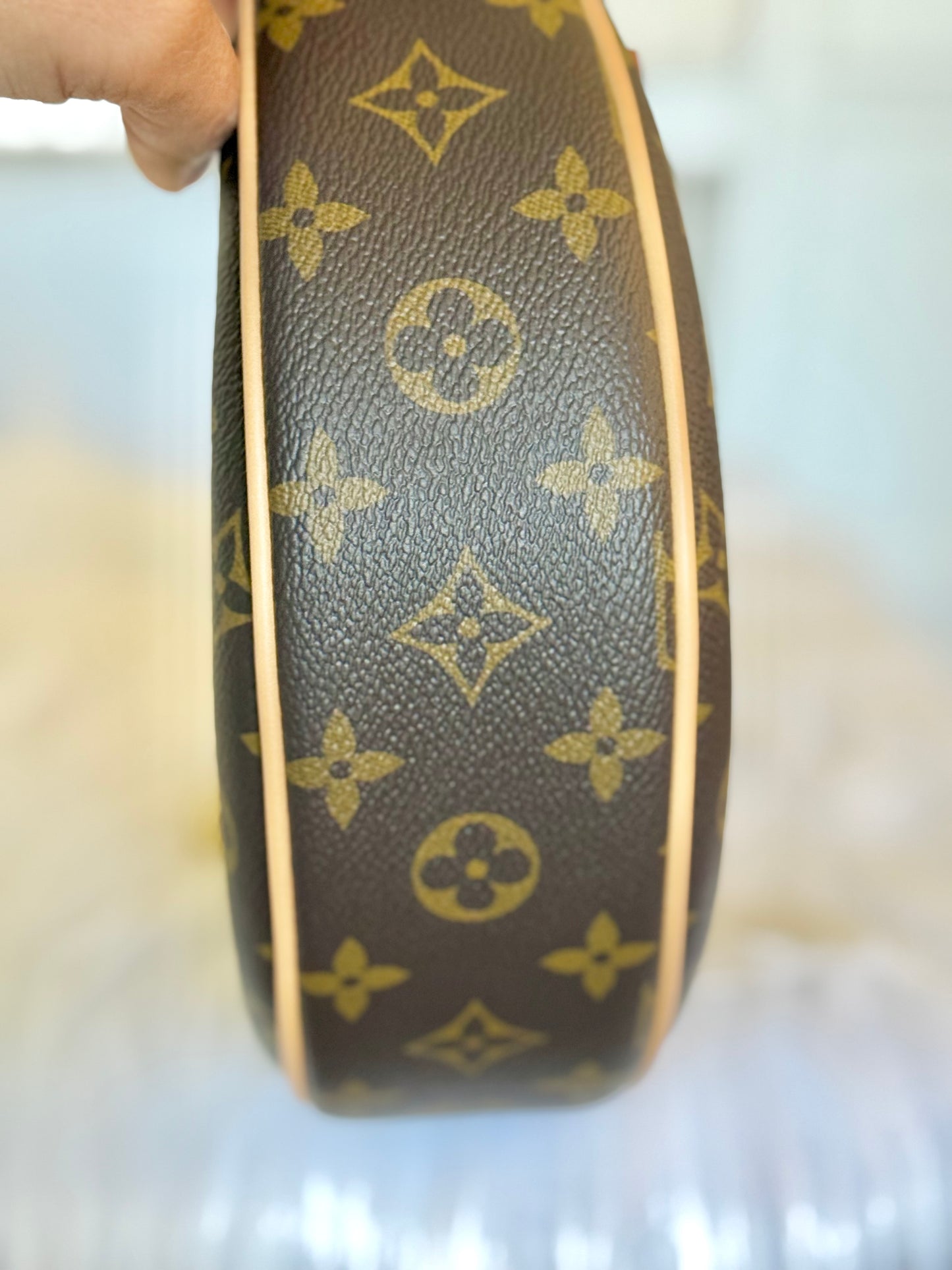 Louis Vuitton Loop PM Mono