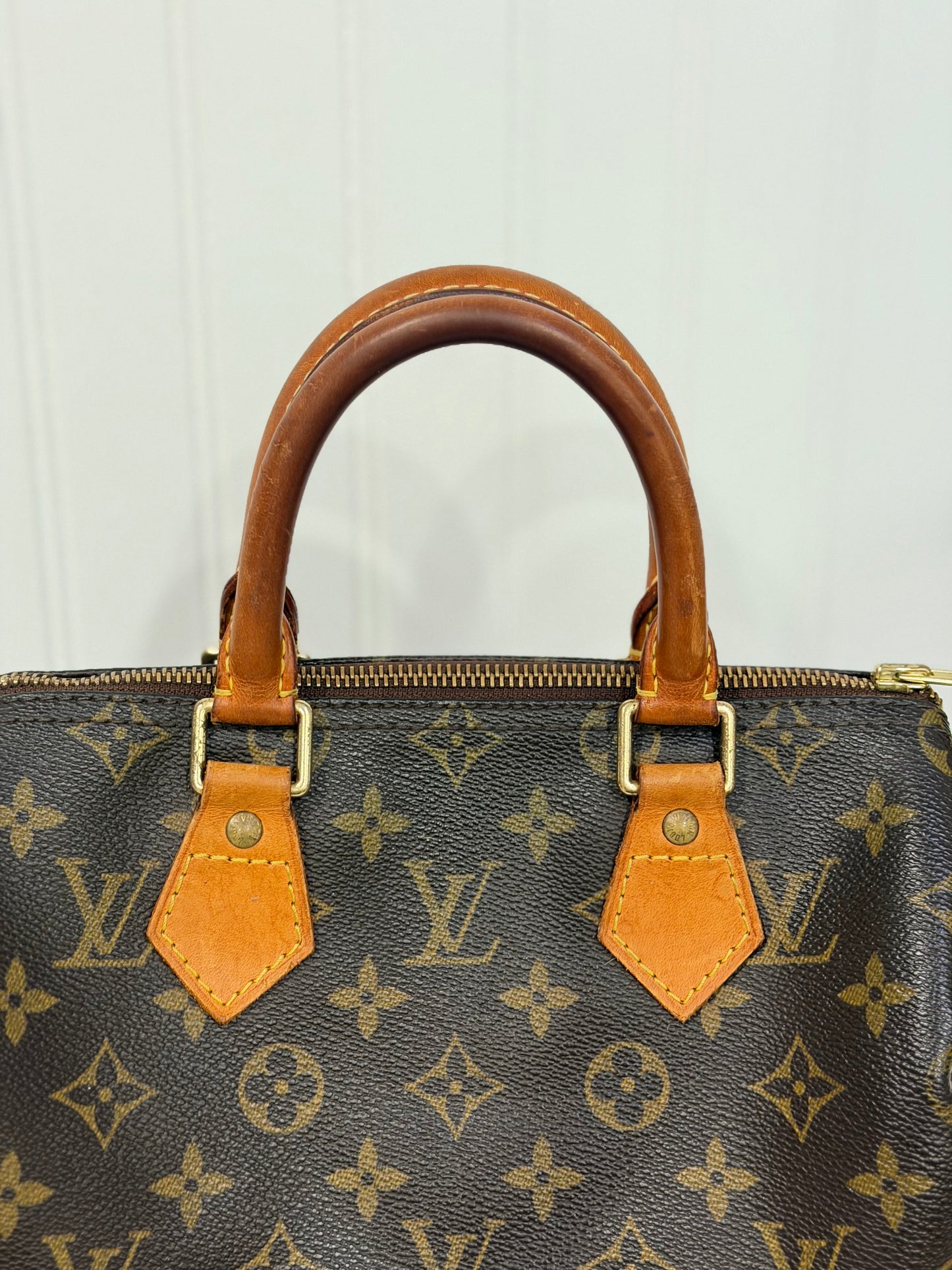 Louis Vuitton Speedy 25 Mono