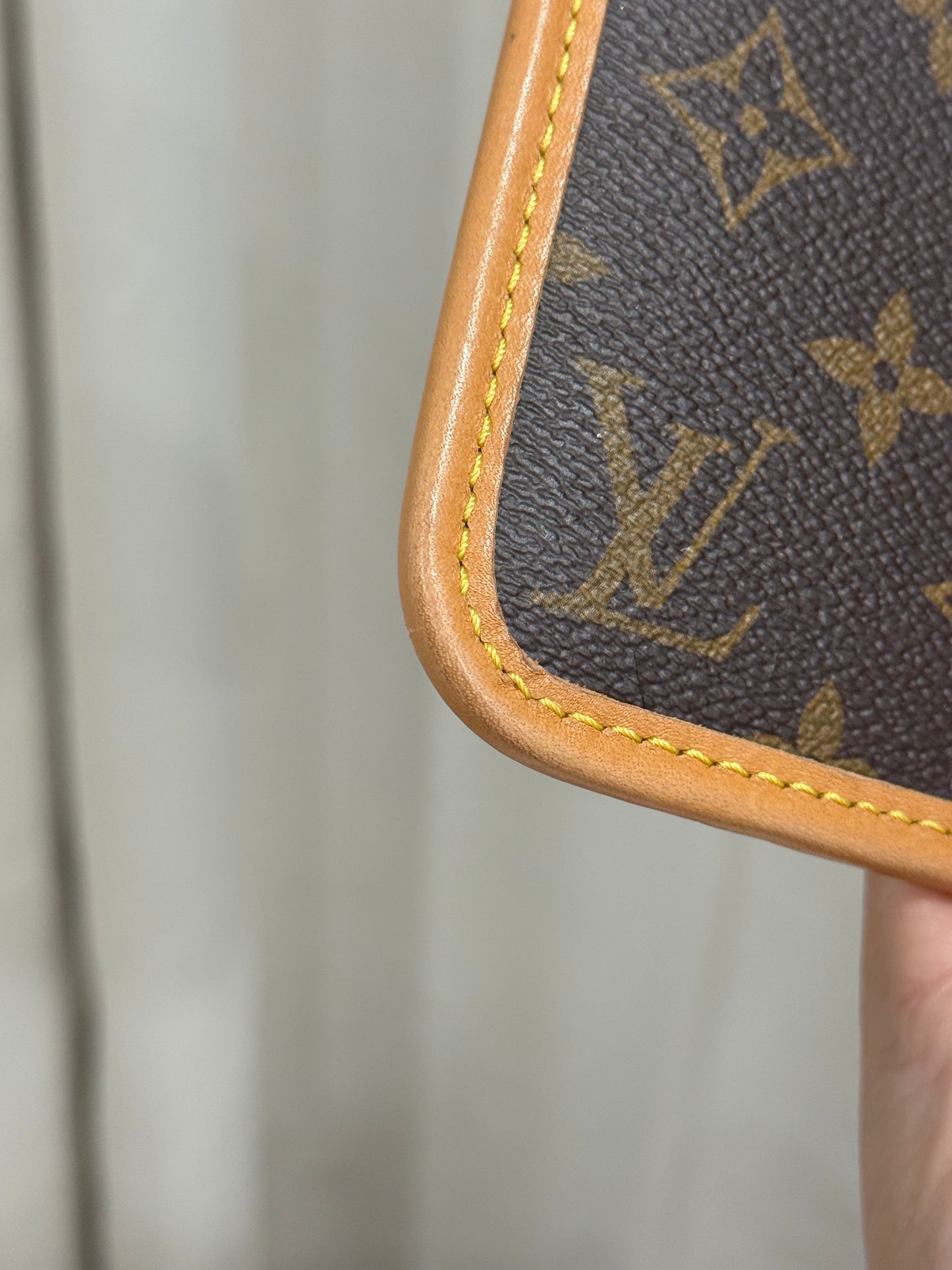 Louis Vuitton Carryall PM Pouch Mono