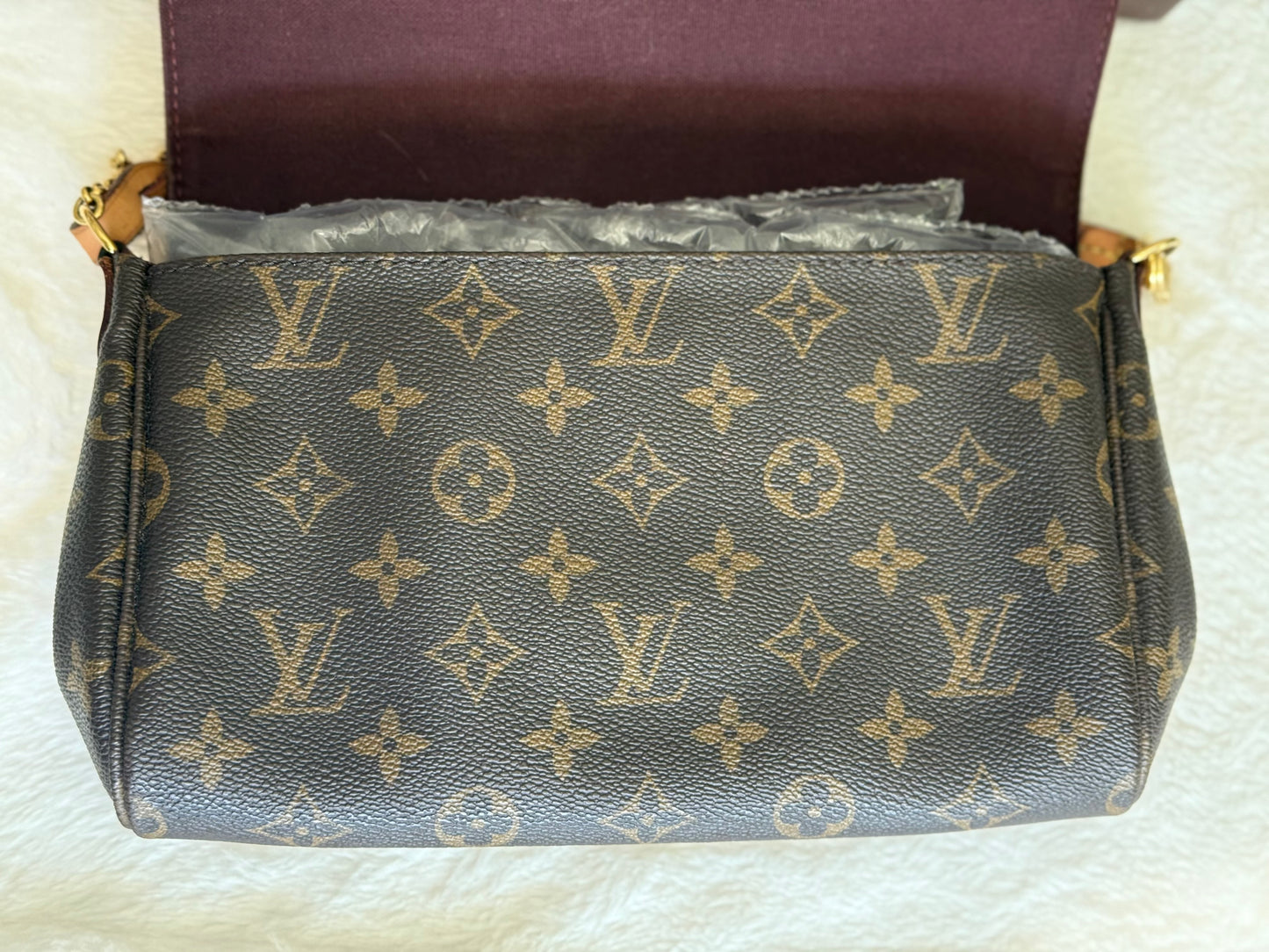 Louis Vuitton Favorite MM Mono