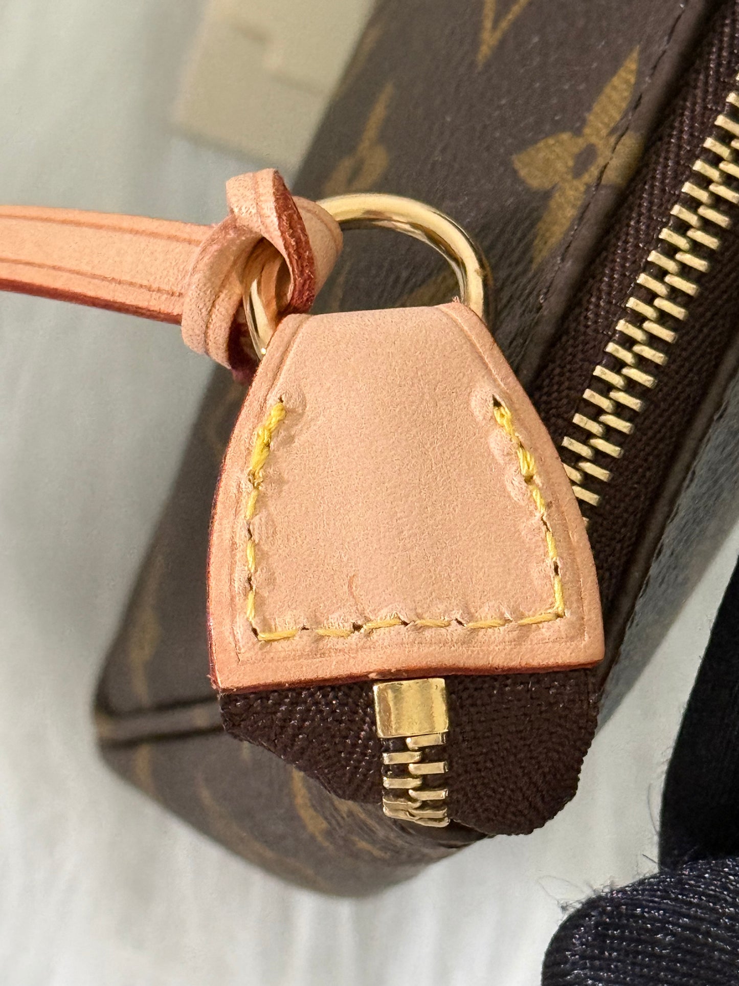 Louis Vuitton Pochette Accessoires Old Model Mono