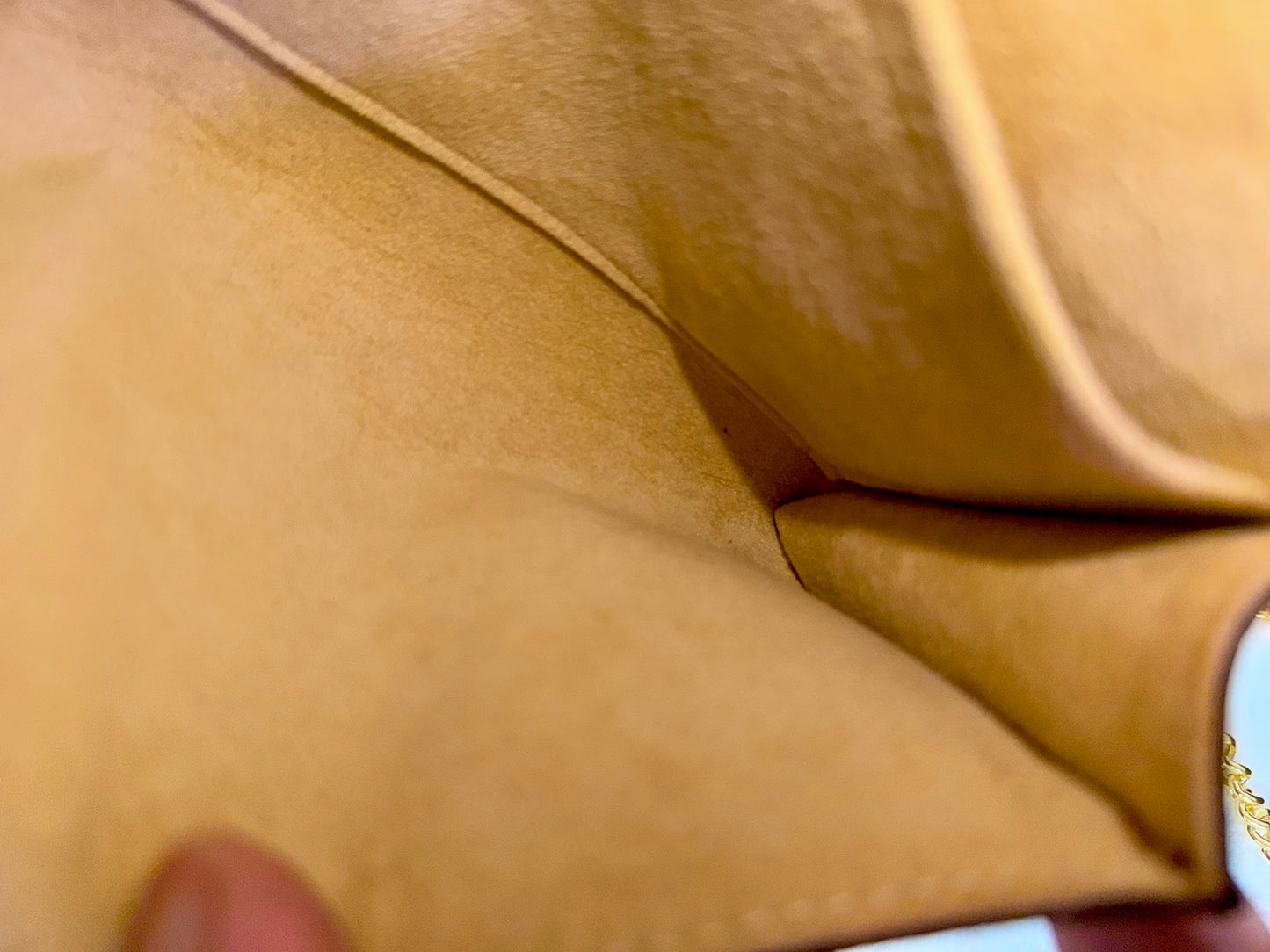 Louis Vuitton Twin Pochette GM Mono