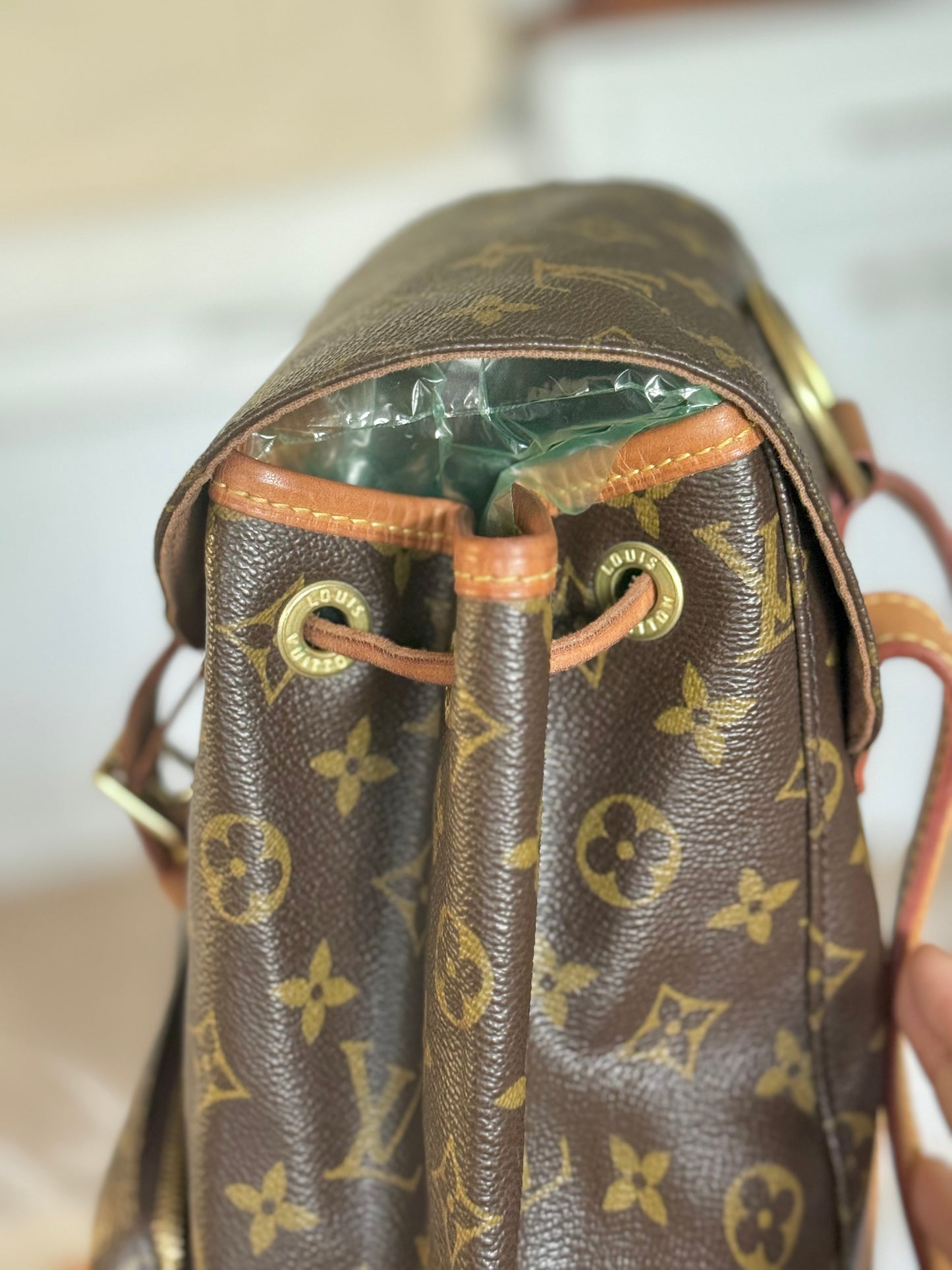 Louis Vuitton Montsouris PM Mono Old Model