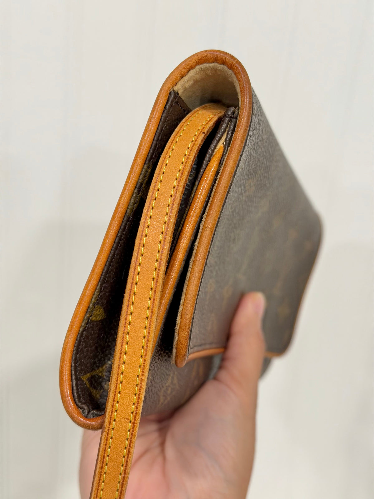 Louis Vuitton Twin Pochette GM Mono