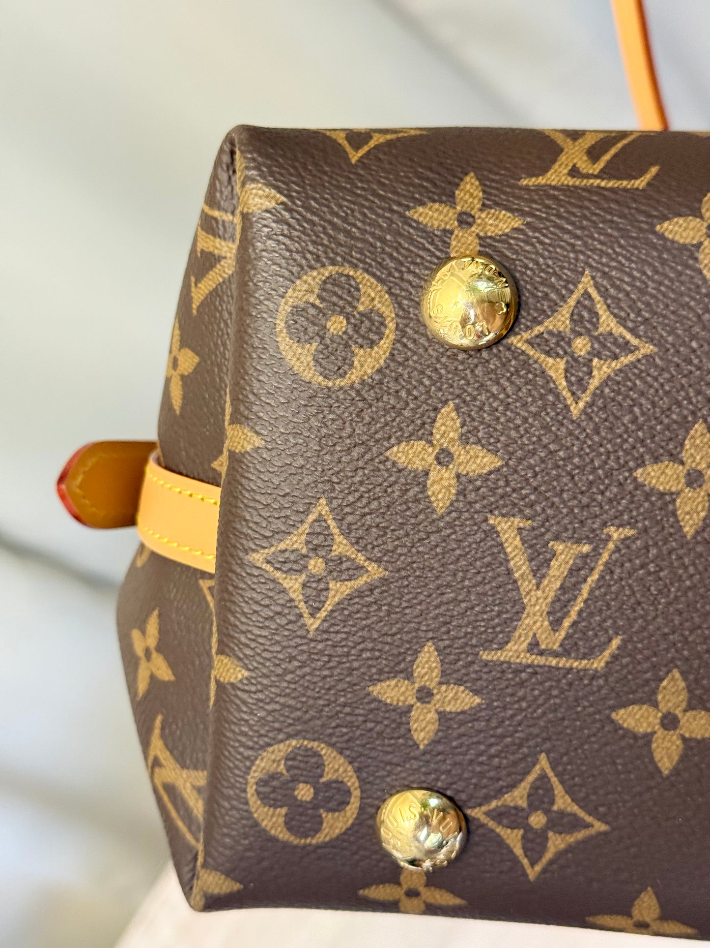 Louis Vuitton Carryall PM Mono (Bag Only)
