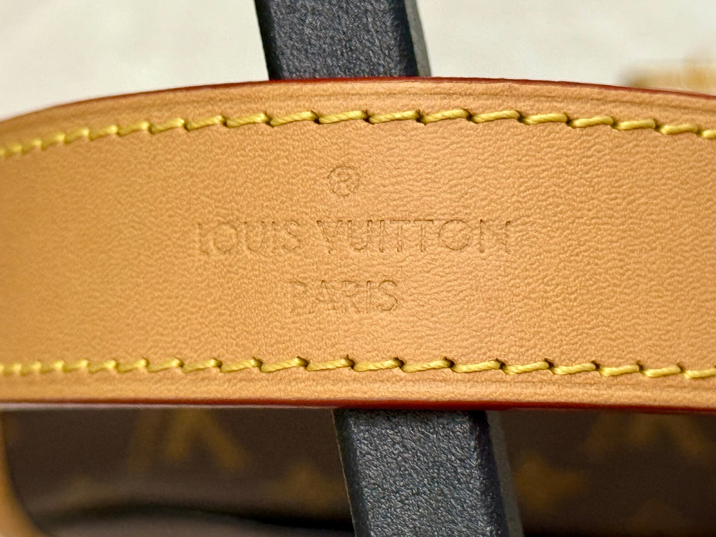 Louis Vuitton Diane Mono