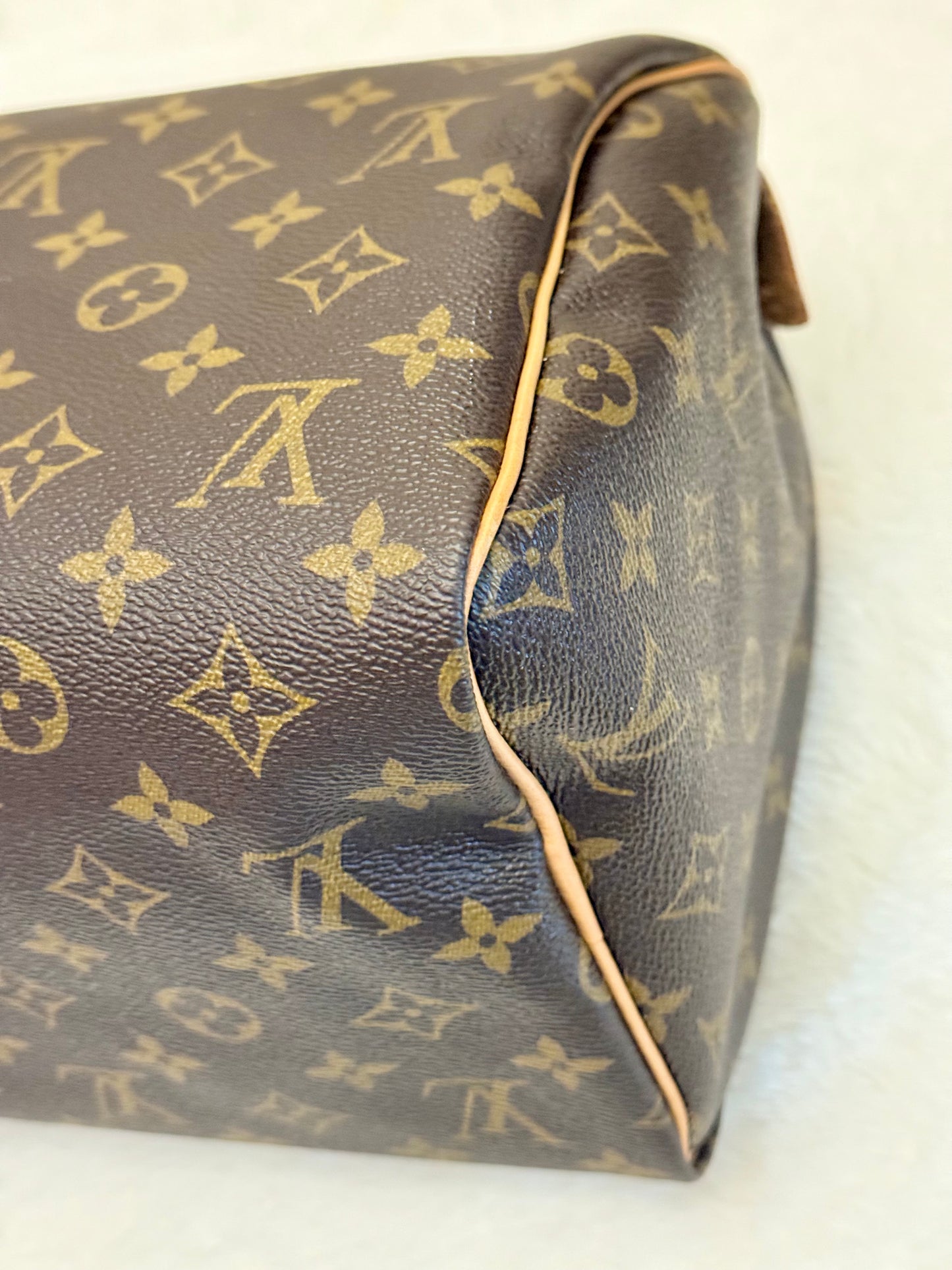 Louis Vuitton Speedy 30 Mono