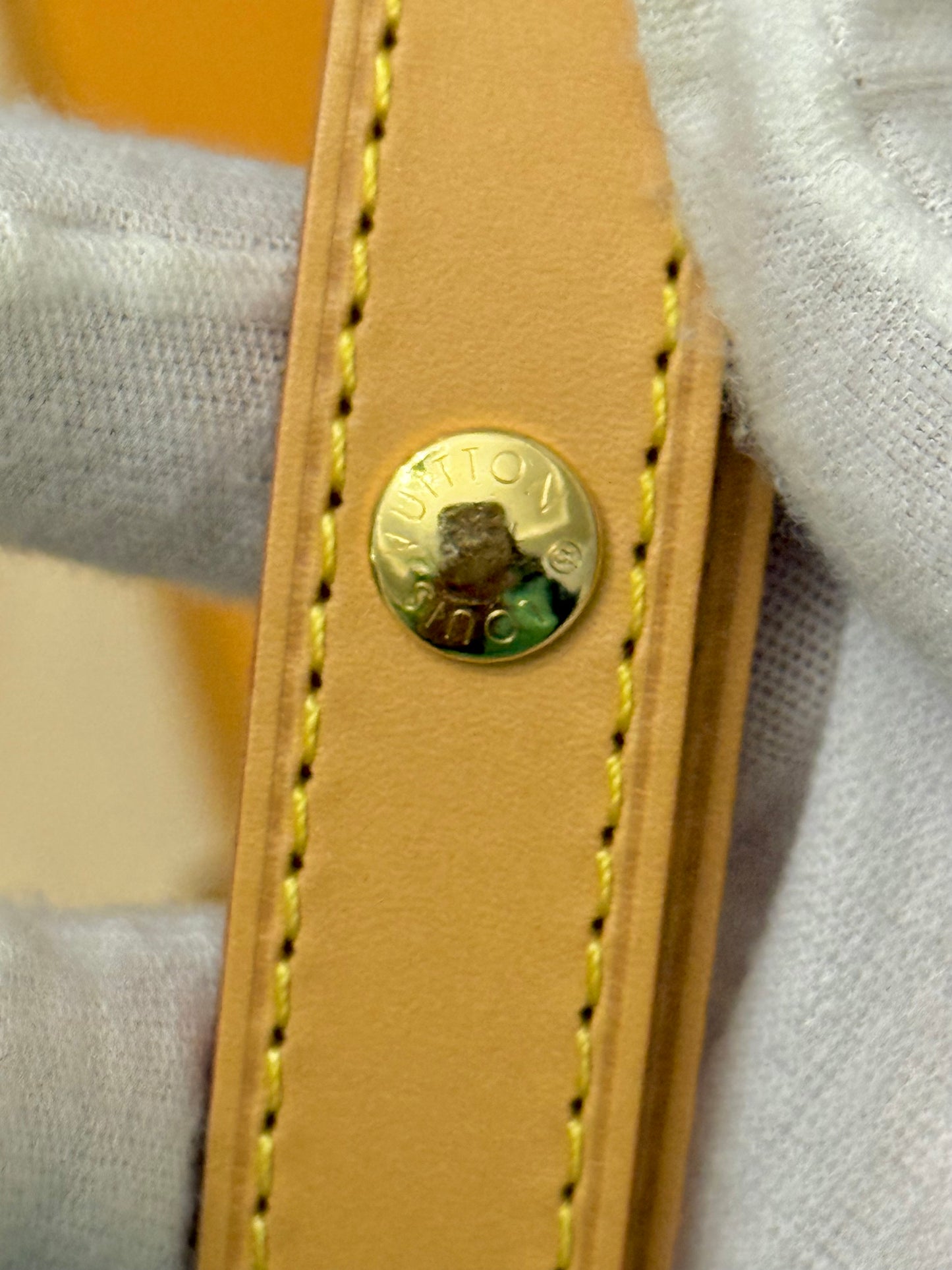 Louis Vuitton Loop PM Mono