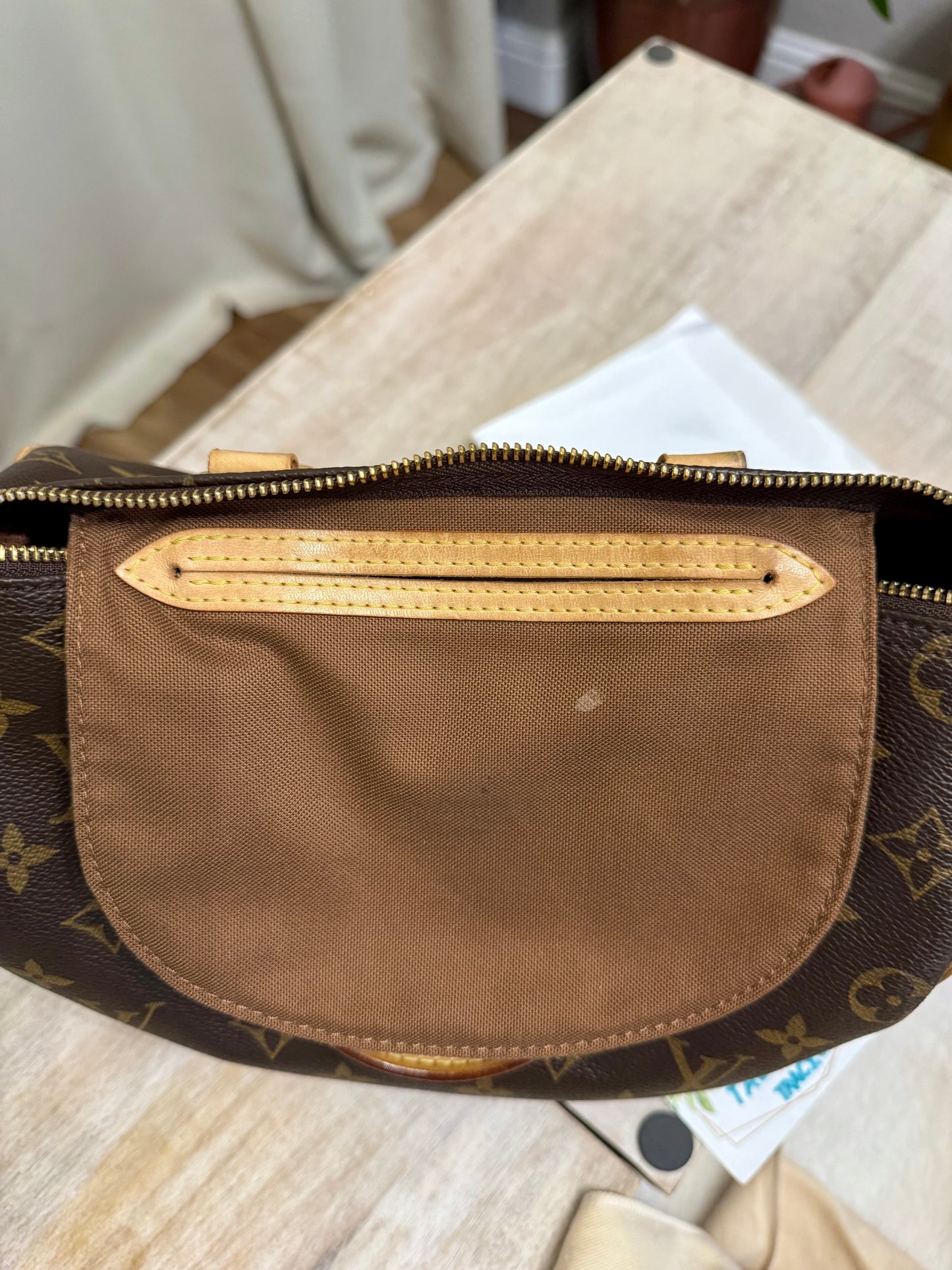 Louis Vuitton Speedy 25 Mono