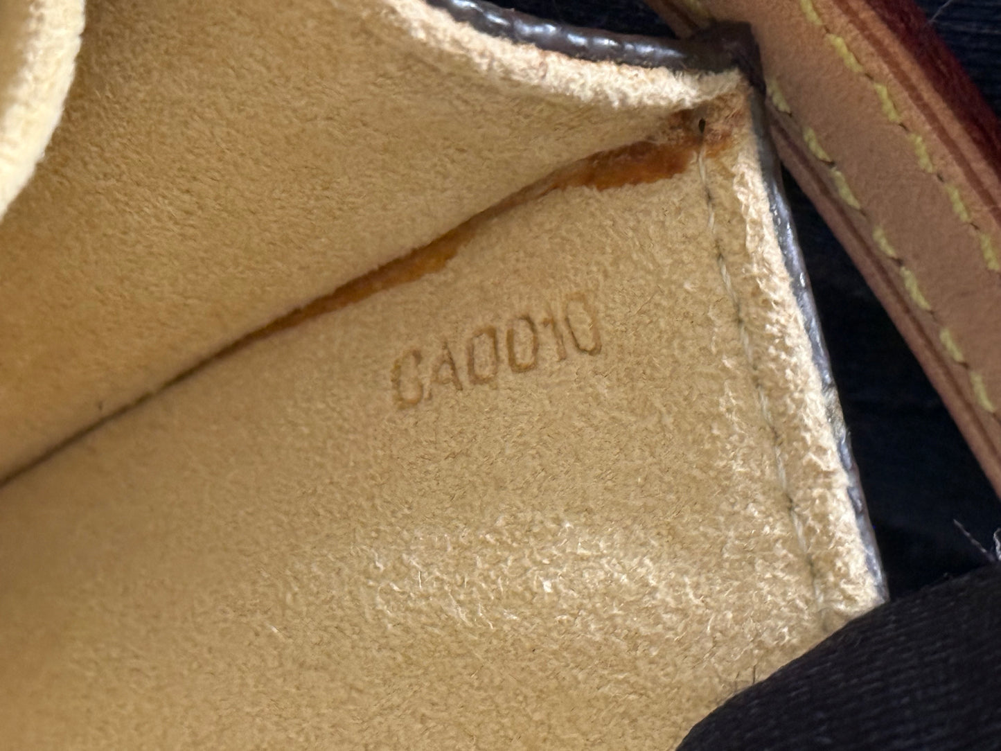 Louis Vuitton Twin Pochette GM Mono