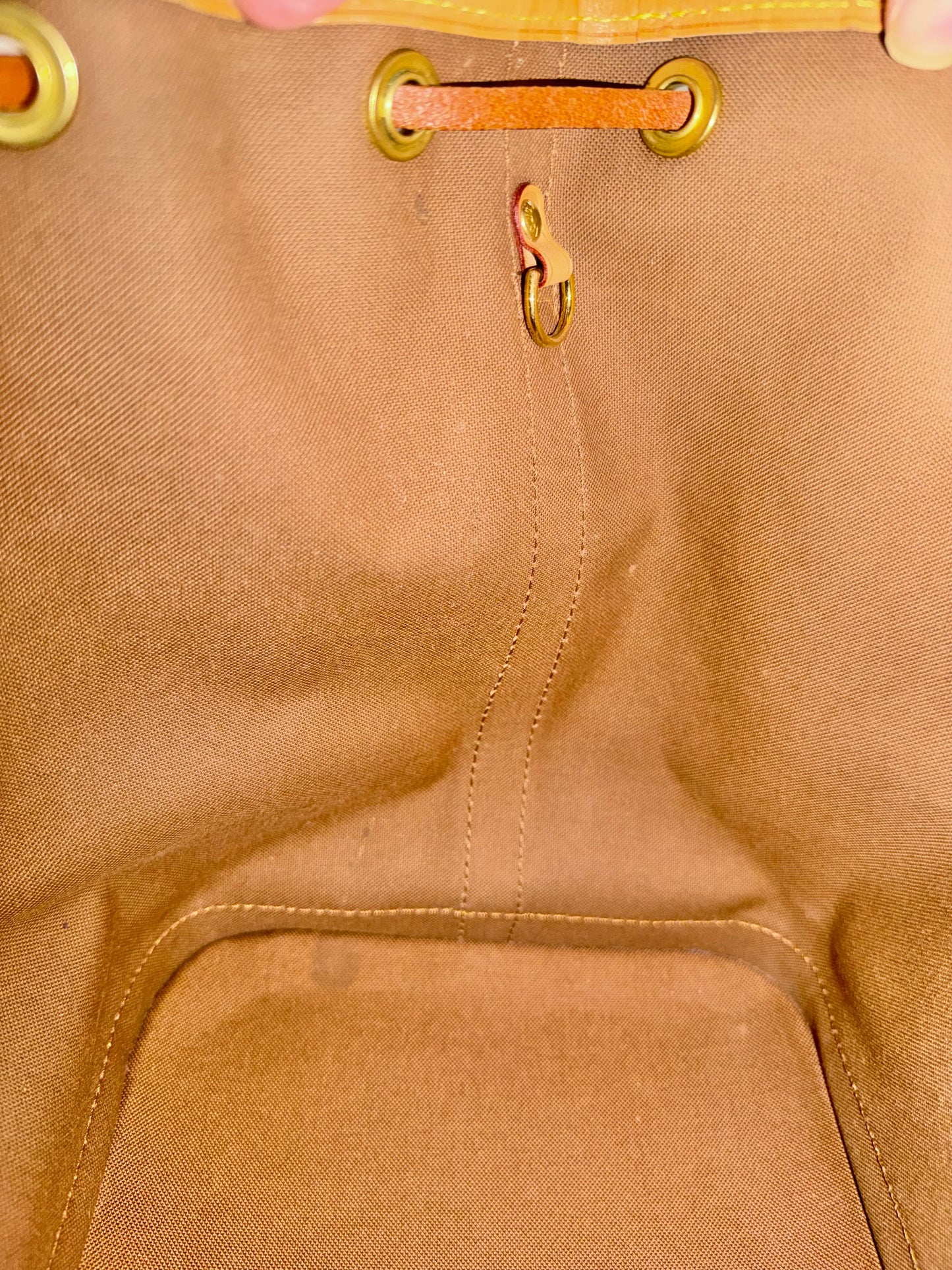Louis Vuitton Petit Noe NM Mono