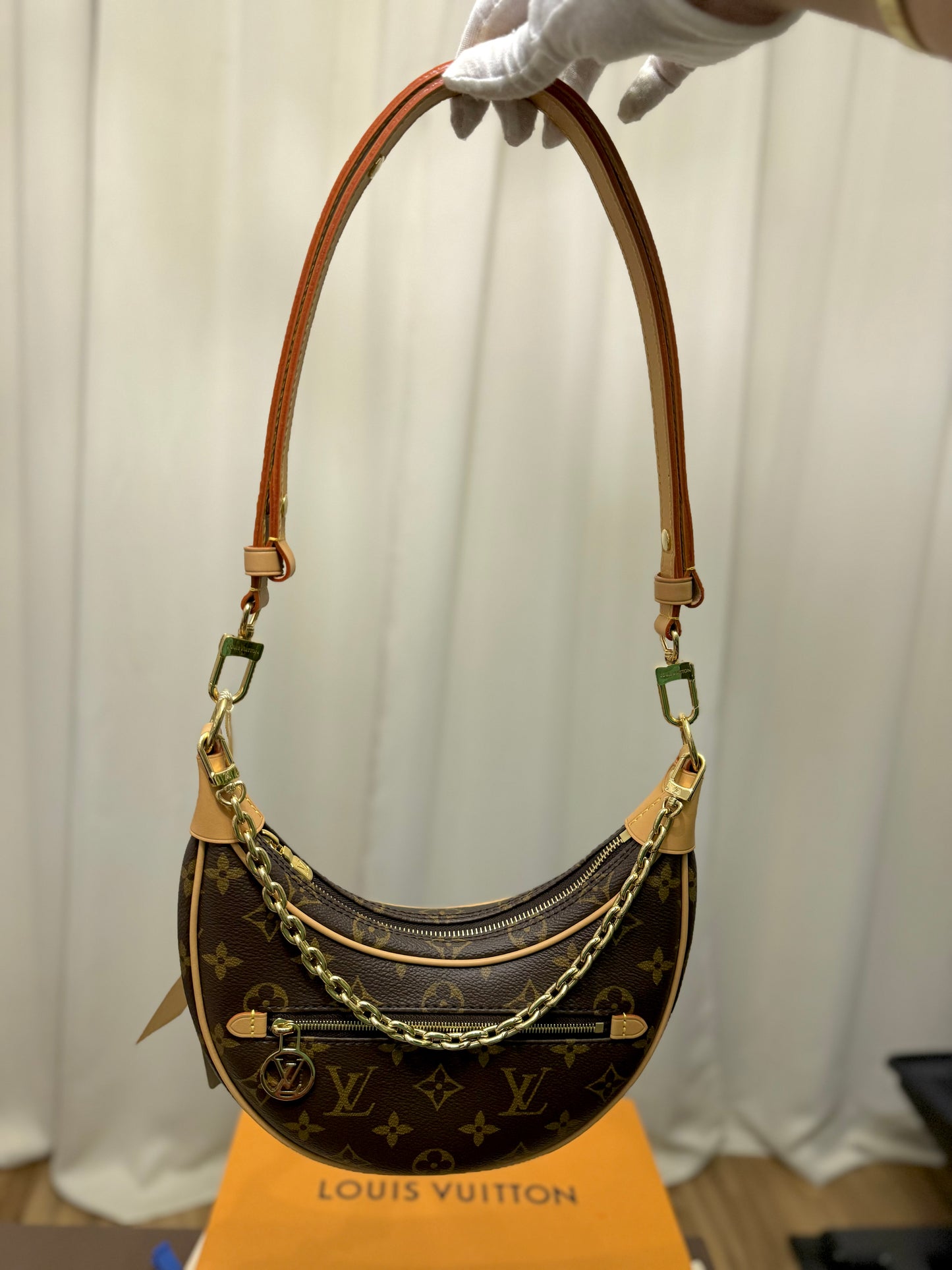 Louis Vuitton Loop PM Mono