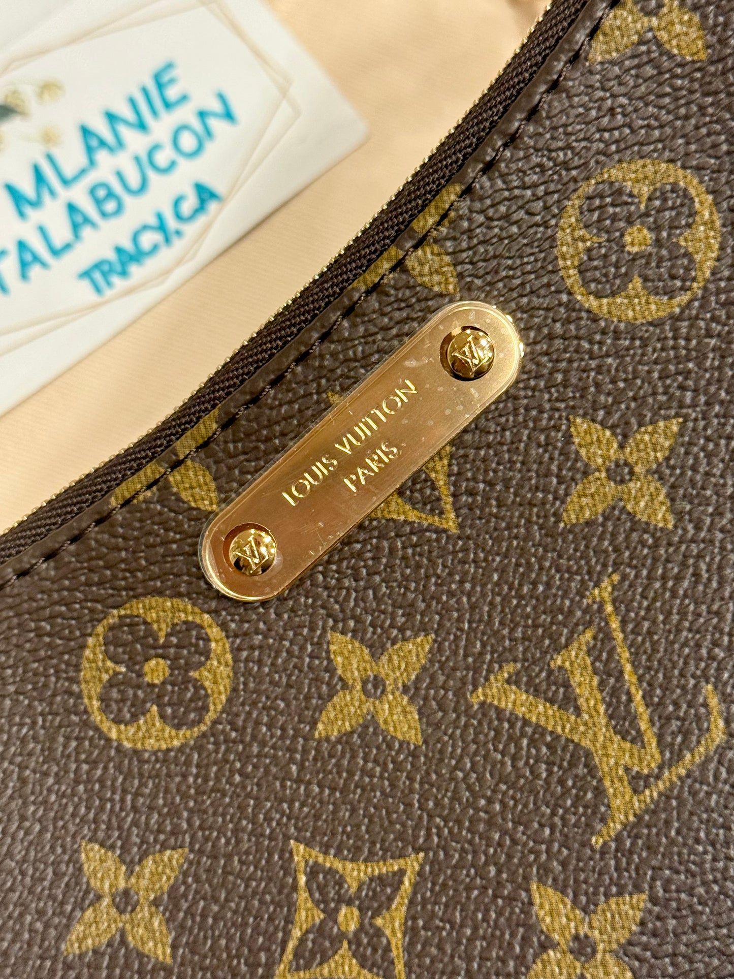 Louis Vuitton Pochette Liv Mono