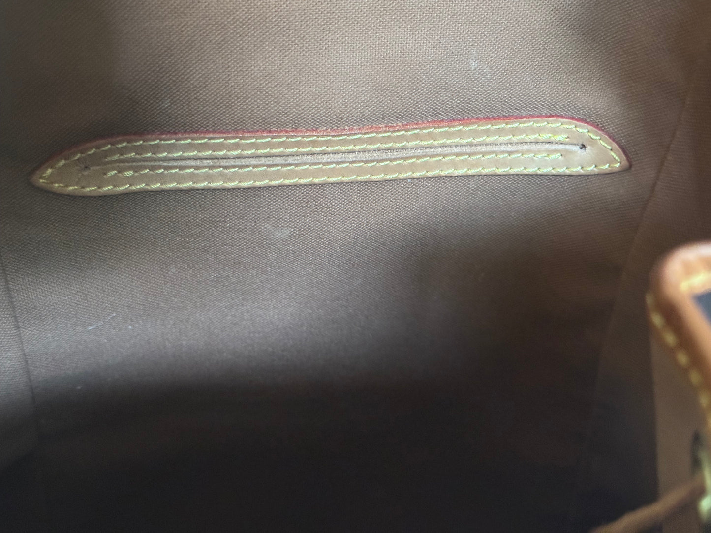 Louis Vuitton Montsouris PM Mono Old Model