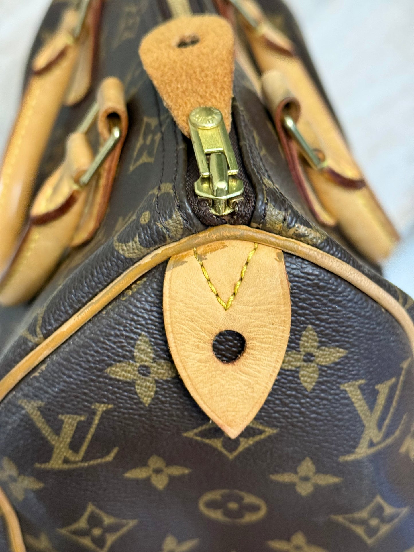 Louis Vuitton Speedy 25 Mono
