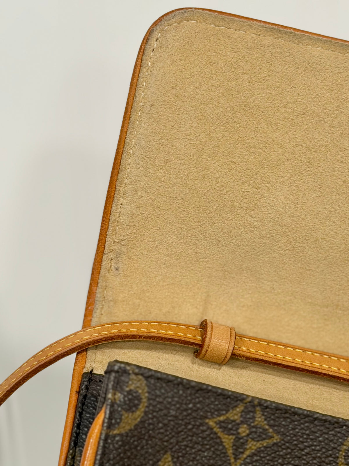 Louis Vuitton Twin Pochette GM Mono