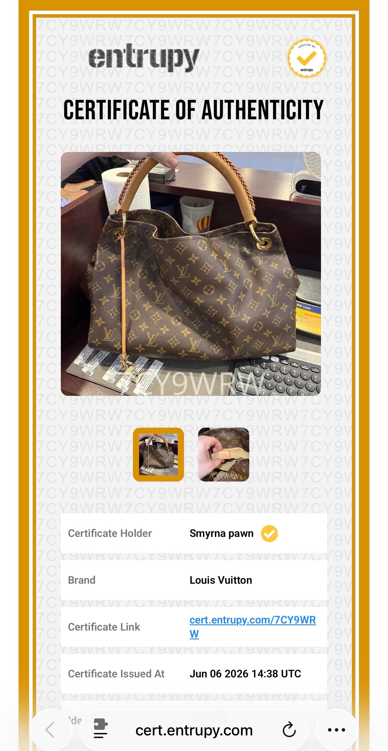 Louis Vuitton Artsy MM Mono