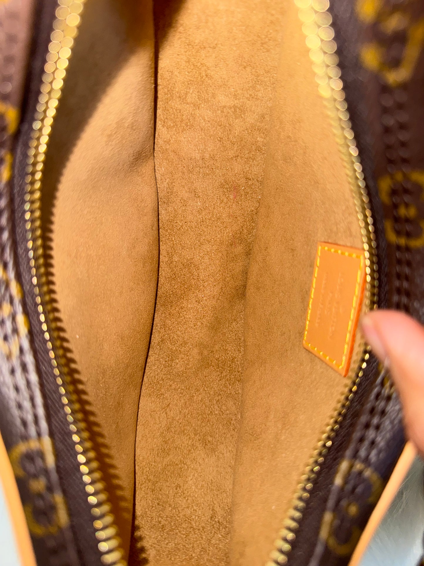 Louis Vuitton Loop PM Mono