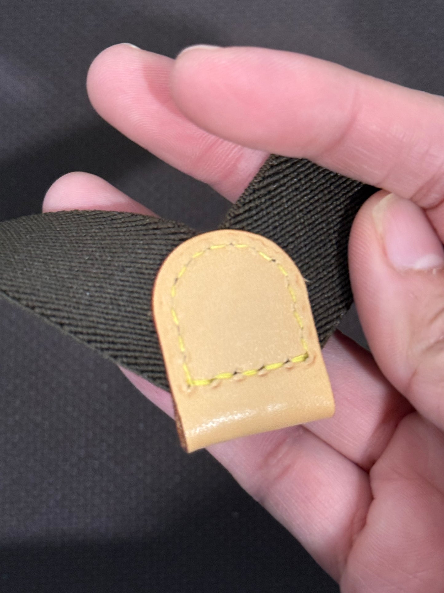 Louis Vuitton Horizon 55 Mono