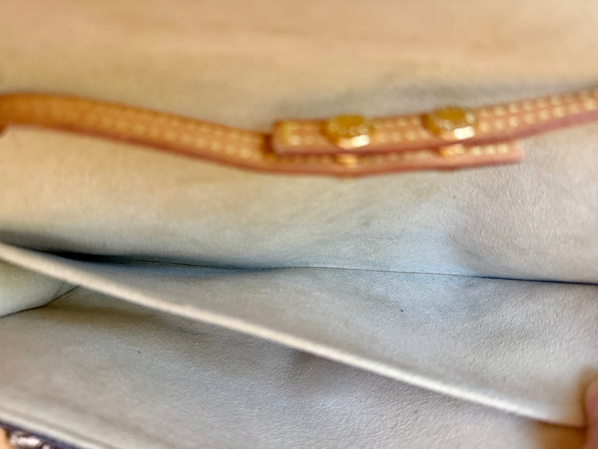 Louis Vuitton Twin Pochette GM Mono