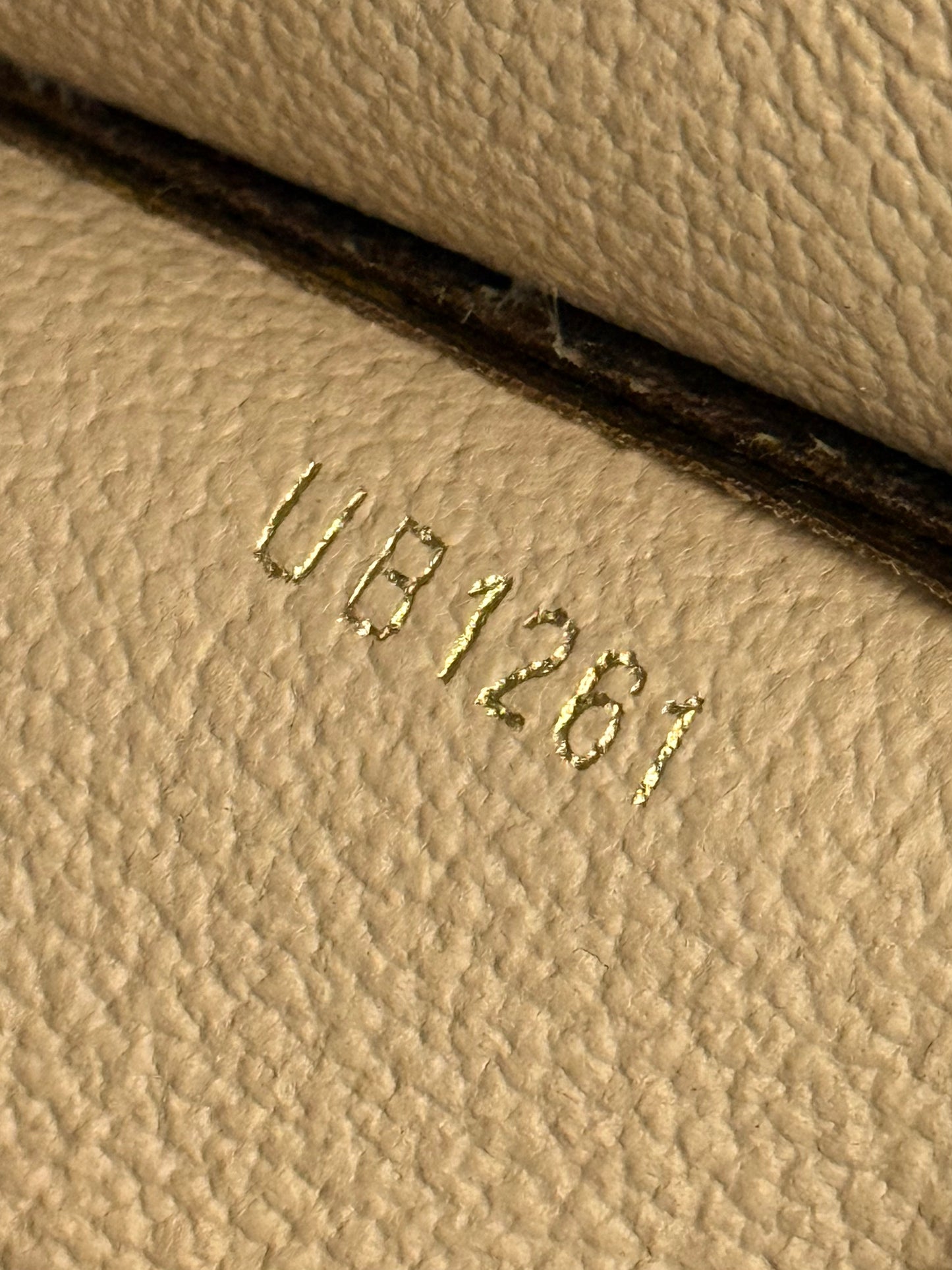 2021 Louis Vuitton Toiletry 26 Mono (Poche Toilette GM)