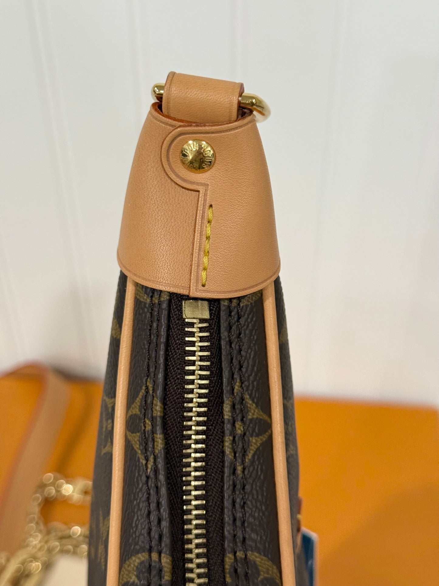 Louis Vuitton Loop PM Mono