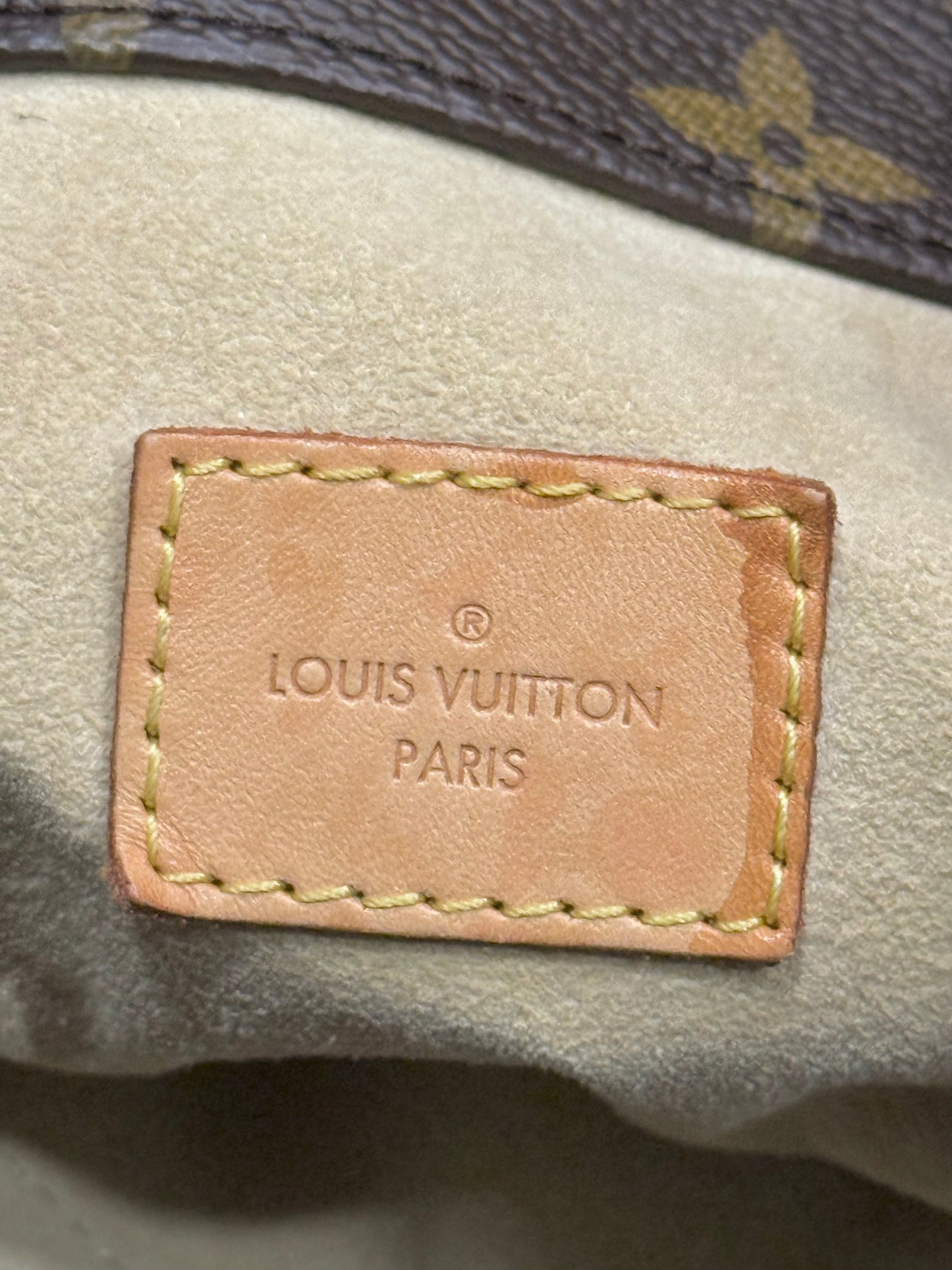 Louis Vuitton Artsy MM Mono