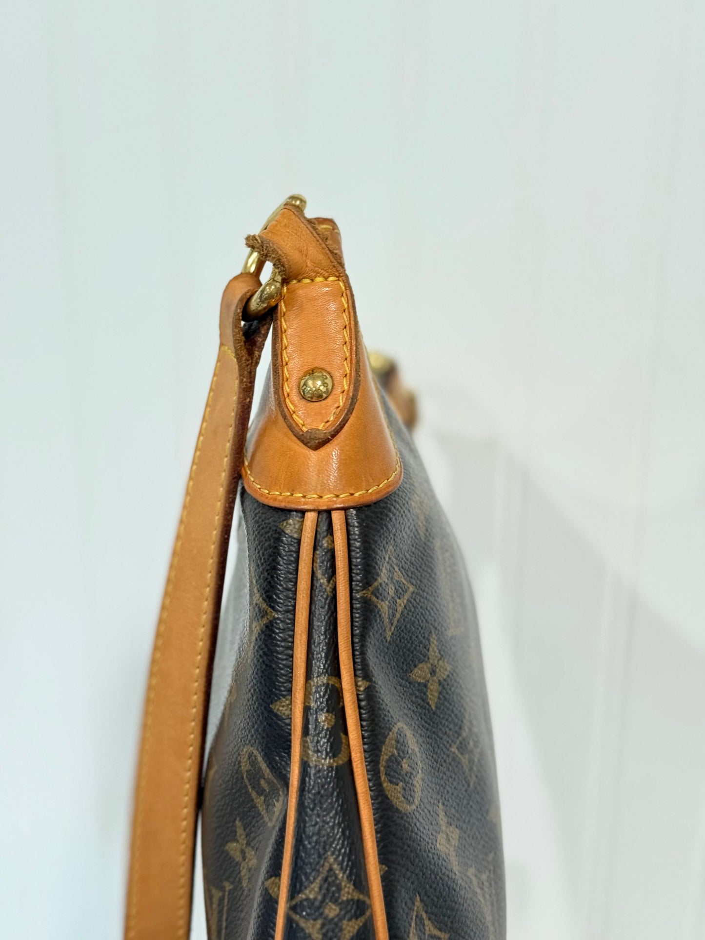 Louis Vuitton Odeon PM Mono