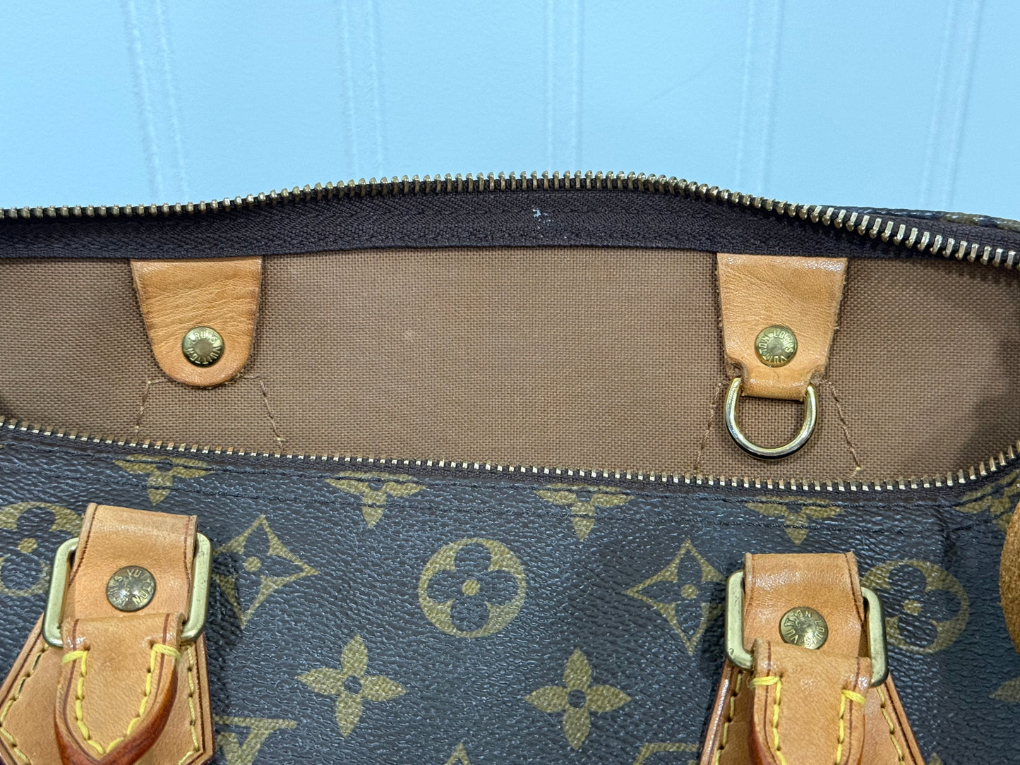 Louis Vuitton Speedy 30 Mono