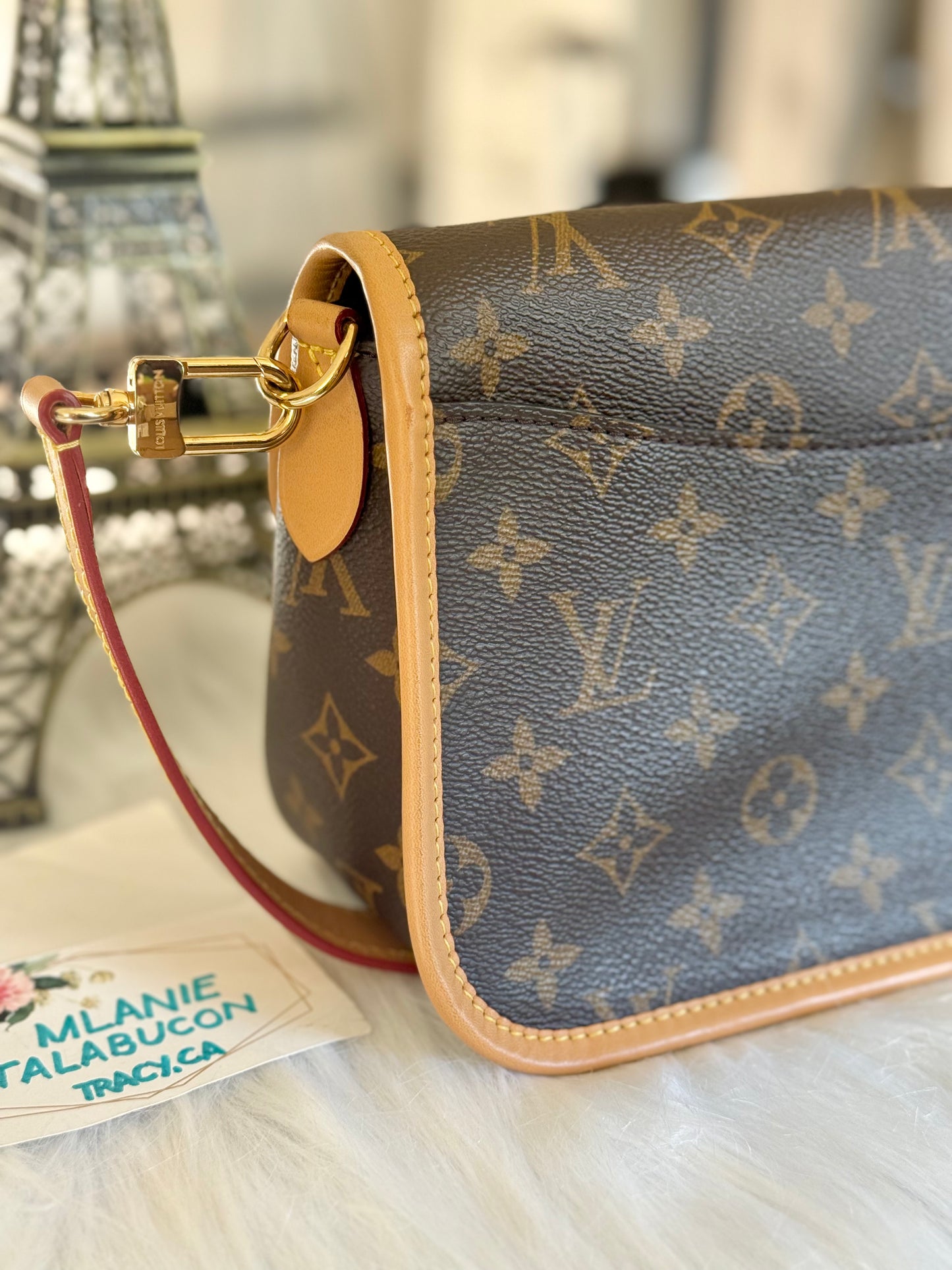 Louis Vuitton Diane Mono with Shoulder Strap