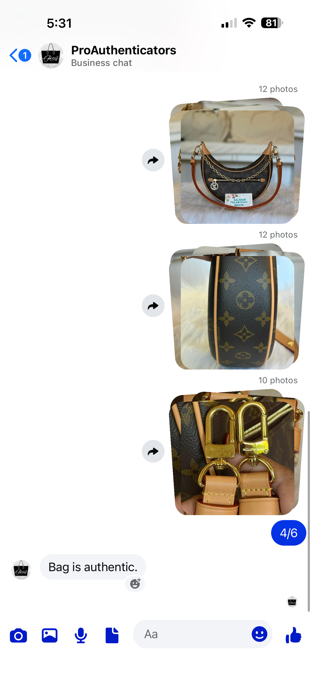 Louis Vuitton Loop PM Mono