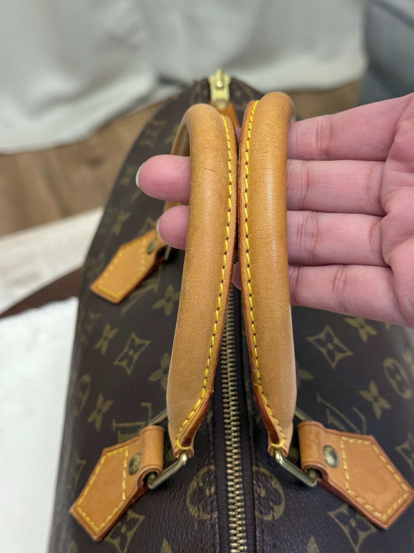 Louis Vuitton Speedy 35 Mono