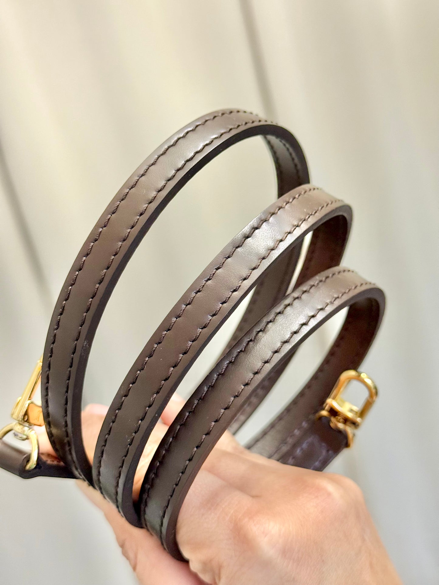 Louis Vuitton Eva Pochette Damier Ebene