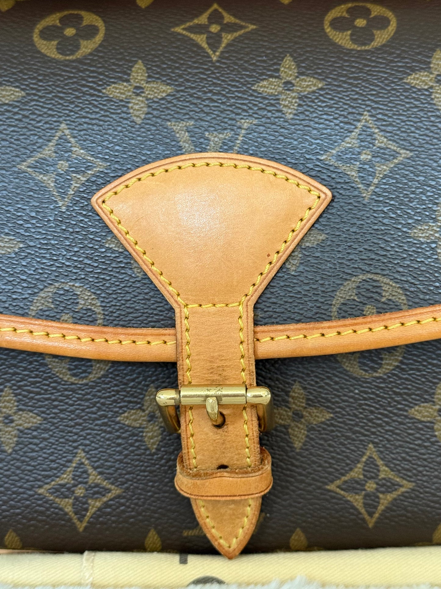 Louis Vuitton Sologne Mono Old Model