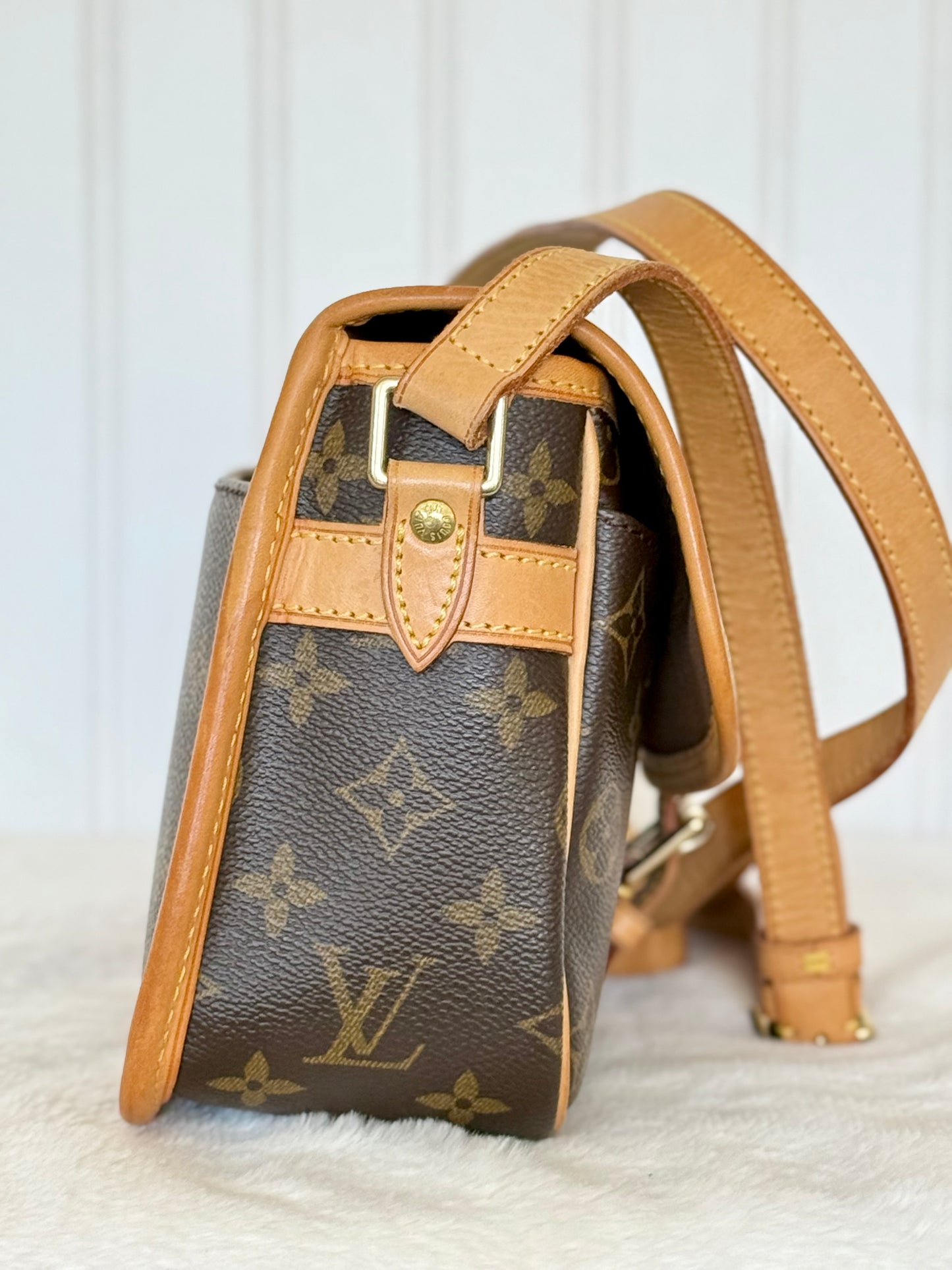 Louis Vuitton Sologne Mono Old Model