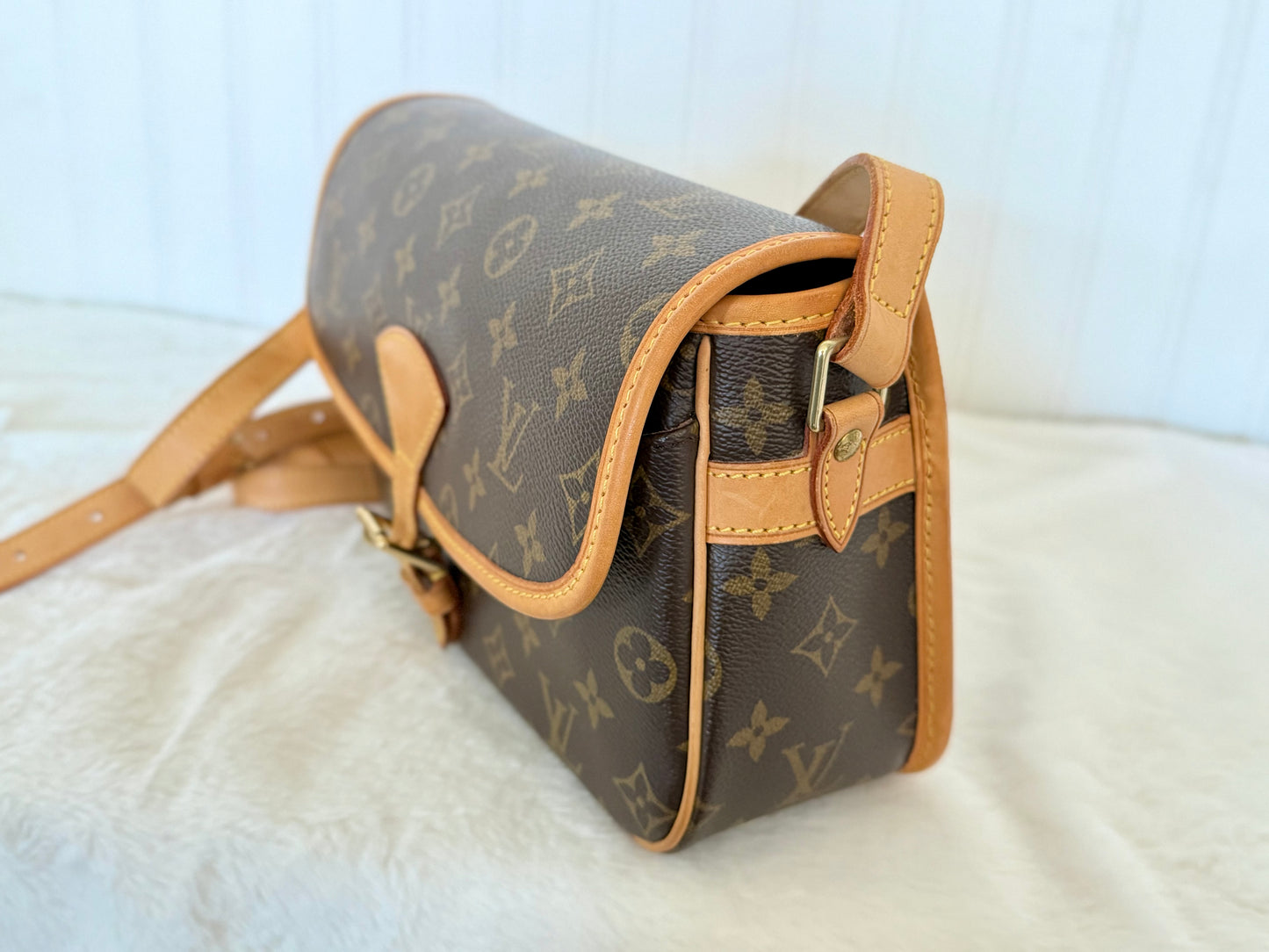 Louis Vuitton Sologne Mono Old Model