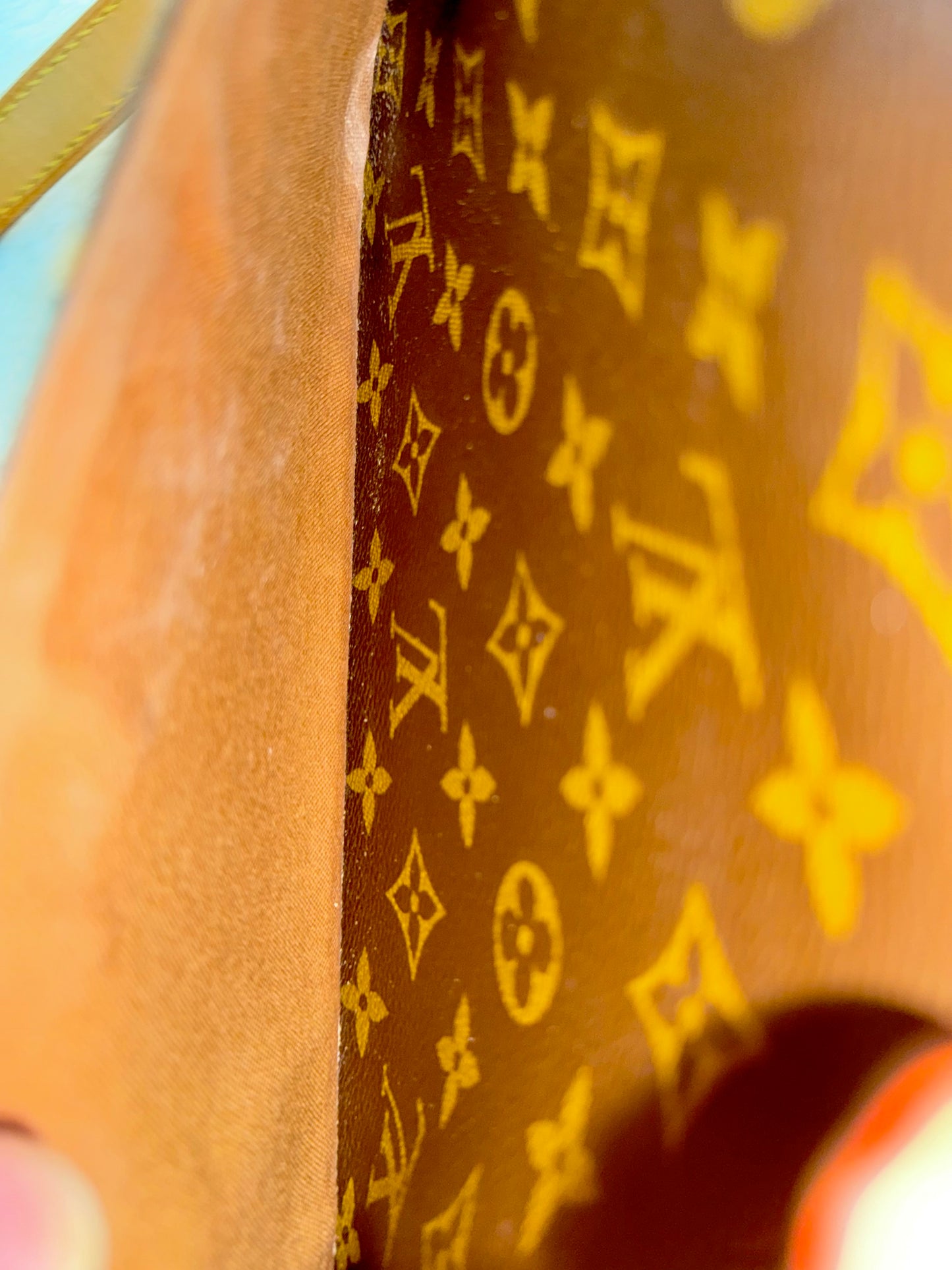 Louis Vuitton Sologne Mono Old Model