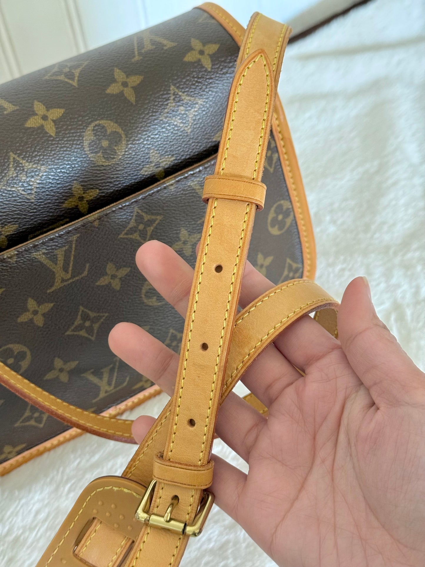 Louis Vuitton Sologne Mono Old Model